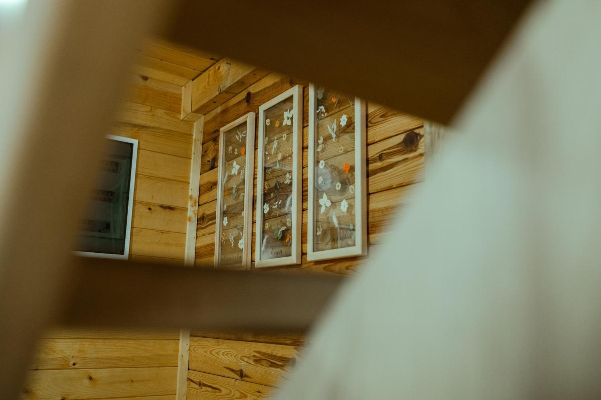 Planinska Kuca Zaliv Villa Zaovine Bagian luar foto